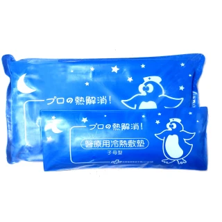 【Fe Li 飛力醫療】醫療用冷熱敷墊/母子型冰枕(一大＋一小 共兩入)