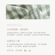 【BELLE VIE】水洗棉 簡約風格 單人床包被套三件組(多款任選)