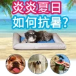 【K&H PET】美國原裝KH寵物水床降溫耐咬墊(寵物用品 寵物 狗 貓 冰涼墊 降溫墊 墊子)