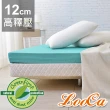 【LooCa】頂級12cm防蚊+防蹣+超透氣記憶床墊(加大6尺)
