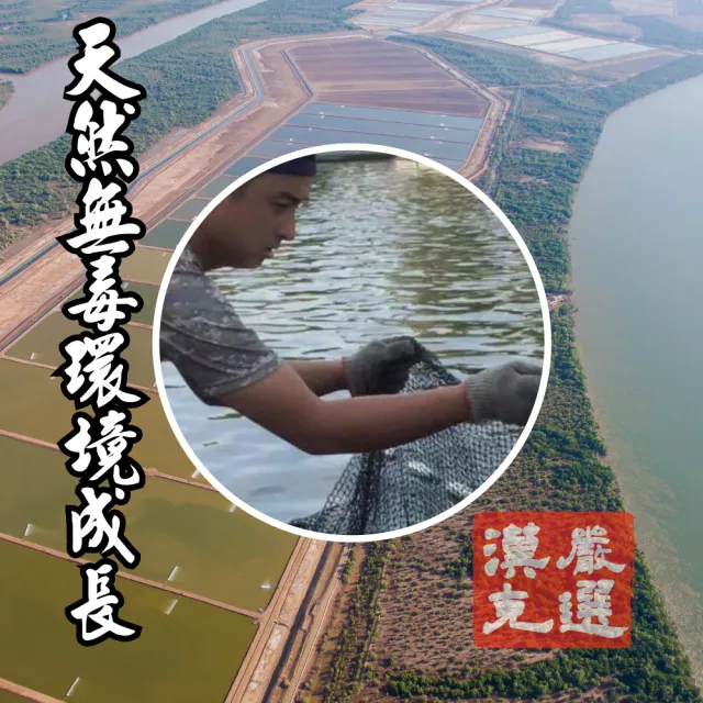 【漢克嚴選】2尾-屏東午仔魚一夜干(200g±10%/尾)