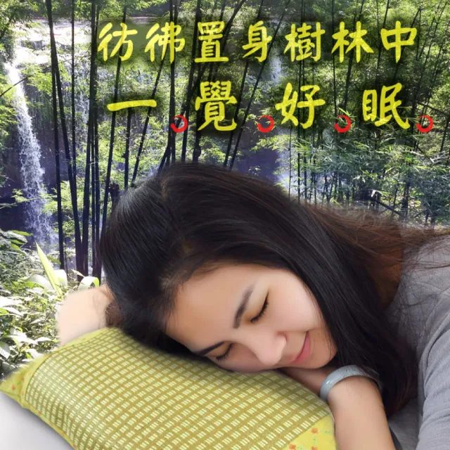 【LASSLEY】亞藤綠豆殼童枕午睡枕小枕(綠豆枕 殼枕 亞草 舒眠 台灣製造)