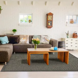 【Ambience】比利時Hampton 平織地毯#90014(160x230cm)