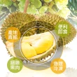 【享吃鮮果】水果之王金枕頭榴槤果肉8盒組(350g±10%/盒)
