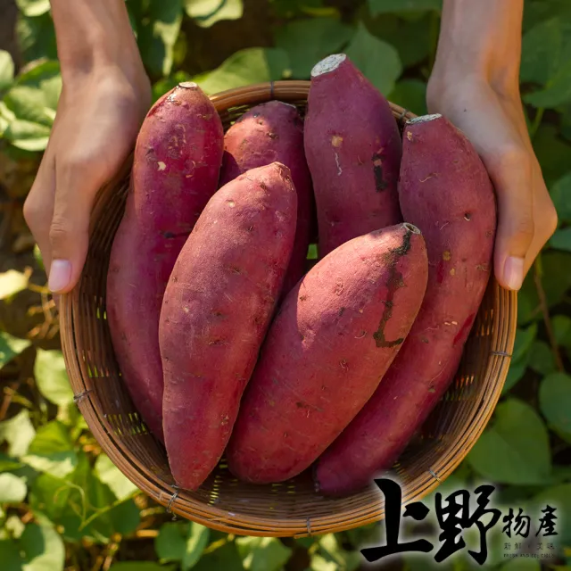 【上野物產】6包 栗香地瓜 (500g/包) (年菜)