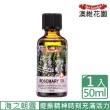 【Ausgarden 澳維花園】迷迭香精油50ml(提振精神好幫手 時刻充滿活力)