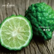 【Jacob Hooy 皇家雅歌布】佛手柑精油Bergamot10ml(柑橘香類)