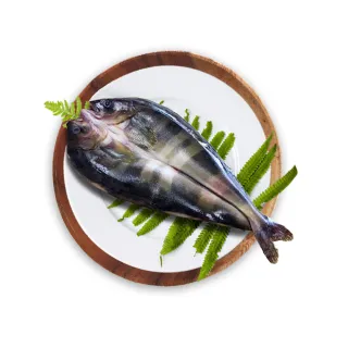 【鮮綠生活】北海道花魚一夜干大(250g-300g±10%/包 共8包)