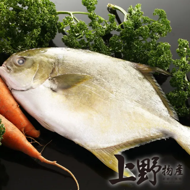 【上野物產】2隻 台灣產 澎湖野生黃金鯧(海鮮/魚/650g一隻)