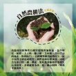 【名池茶業】山花馥漫台灣高山茶葉150gx10包(共2.5斤)