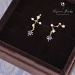 【Turquoise Jewelry】簡約輕奢風北極的流星光芒不對稱925銀耳環(tqsm0002)