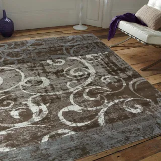 【Ambience】比利時Shiraz 時尚地毯-復古藤蔓(160x230cm)