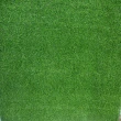 【園藝世界】特大捲人造草皮-200*1250公分.長寬+-5公分內(仿真草皮/地板裝飾/裝潢配件/人造草皮)