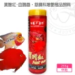 【海豐飼料】寶贈紅-血鸚鵡•慈鯛科增艷極品飼料 中粒235g(適合血鸚鵡、慈鯛科、一般熱帶魚食用)