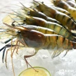 【段泰國蝦】屏東鮮凍泰國蝦Ａ級6包入(600g±5%/包)