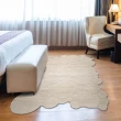 【山德力】ESPRIT地毯200x300沫影(不規則 白色)