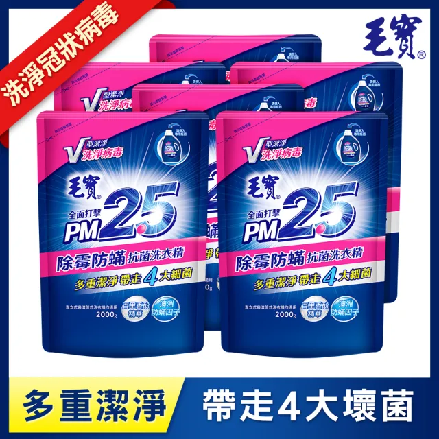 【毛寶】除霉防蹣 PM2.5洗衣精-補充包(2000gX6入)