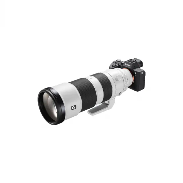 SONY】FE 200-600mm F5.6-6.3 G 超望遠變焦鏡頭(公司貨) - momo購物網