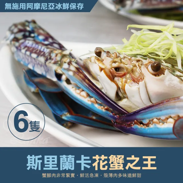 【優鮮配】巨無霸斯里蘭卡公花蟹6隻(350-400g/隻)