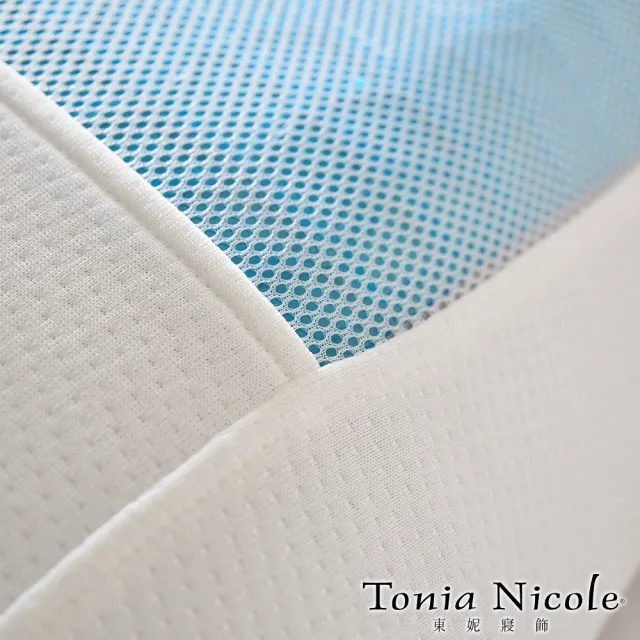【Tonia Nicole 東妮寢飾】涼夏凝膠枕(2入)
