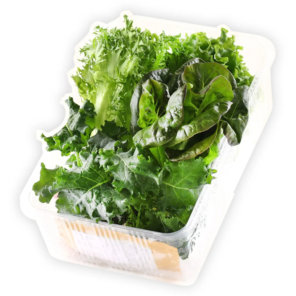【會呼吸的菜】綜合水耕鮮菜8盒+贈沙拉醬8包(150g±5%/盒)