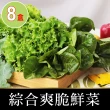 【會呼吸的菜】台灣綜合水耕鮮菜150g±5%x8盒+贈沙拉醬8包