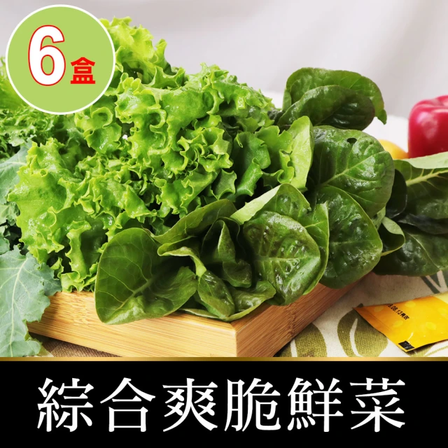 【會呼吸的菜】綜合水耕鮮菜6盒+贈沙拉醬6包(150g±5%/盒)