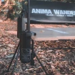 【ANiMA WANDERER】BLN-22 燈架連碳纖桌板