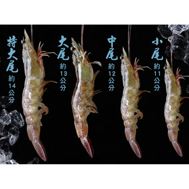【季之鮮】MOMO限定-無毒生態台灣白蝦-中尾共7包(300g/包)
