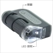 【CARSON 卡薾紳】Micro LED 隨行顯微鏡 120x(實驗觀察 微距放大)