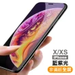 iPhone X XS 鋼化膜手機9H保護貼 防窺 藍紫光(3入 iPhoneXS手機殼 iPhoneX手機殼)
