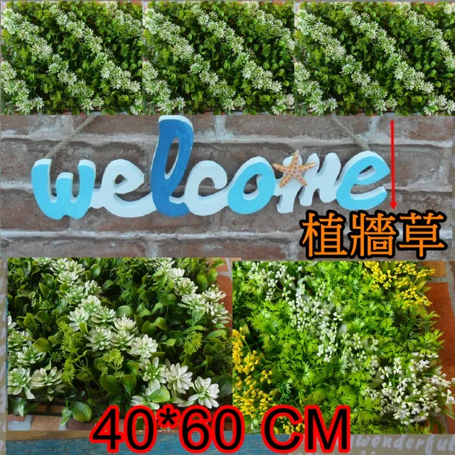 【園藝世界】人造草皮-植牆草40*60 公分(雪花/油菜花 新品上市)