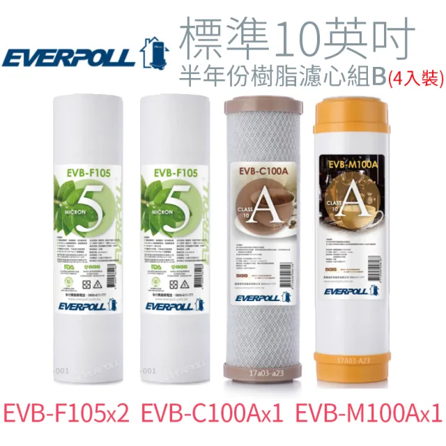 【EVERPOLL】標準10英吋 半年份樹脂濾心組B(4入)