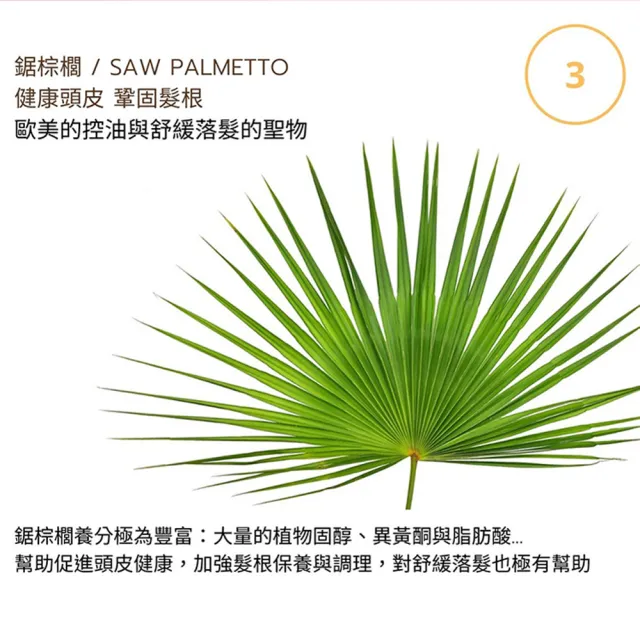 【Moonlight 莯光】進化版茶樹控油淨化洗髮精 400 ml(清爽UP 髮絲不再黏頭皮)