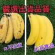 【水果達人】高雄旗山頂級超Q甜香蕉禮盒10斤x1箱(香蕉)