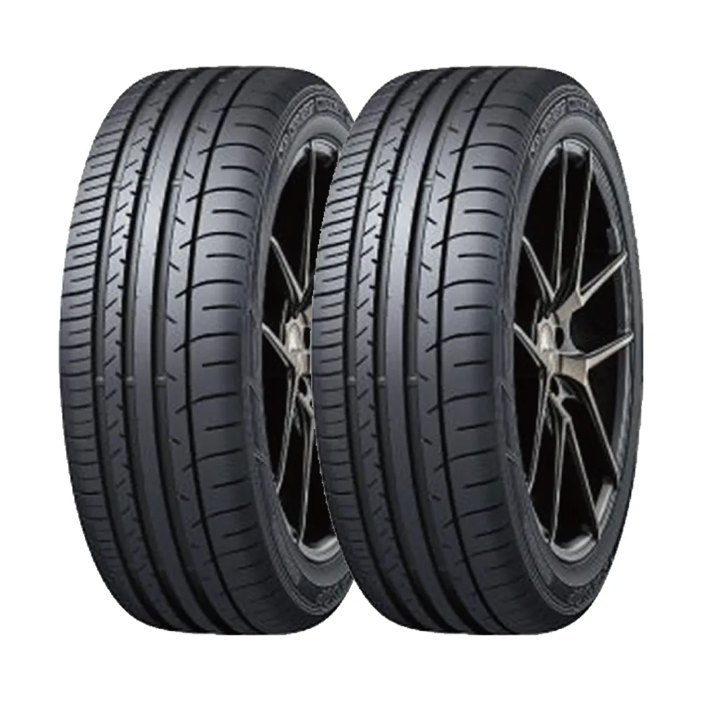 【DUNLOP 登祿普】SP SPORT MAXX 050+ 高性能輪胎_二入組_255/40/19(MAXX 050+)