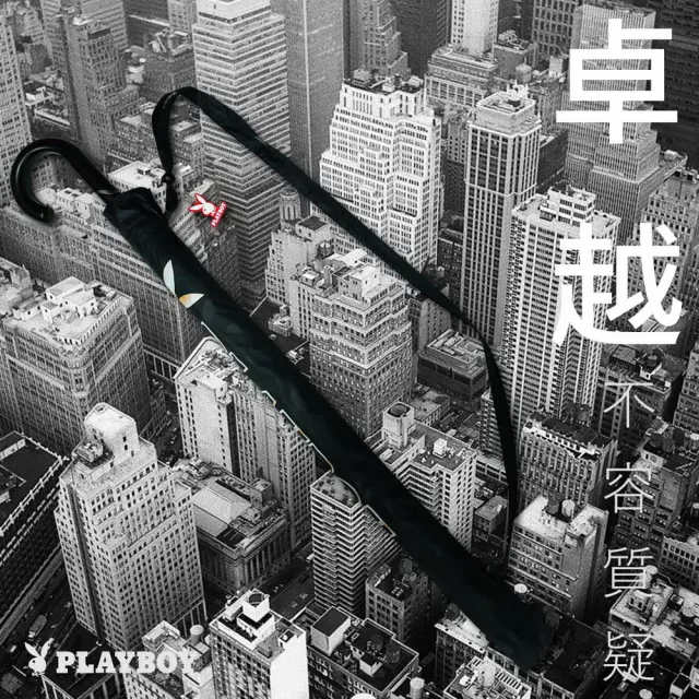 PLAYBOY 傘 楽天市場】傘（ブランドプレイボーイ）の通販