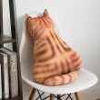 彩色系背影貓咪抱枕靠墊 靠枕 貓奴療癒 布偶 娃娃