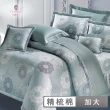 【Prawear 巴麗維亞】精梳棉圖騰六件式兩用被床罩組綠茵美景(加大)