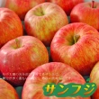 【鮮果日誌】日本空運青森蜜蘋果(8入禮盒裝)