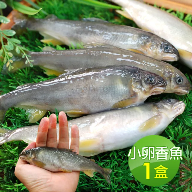 【優鮮配】宜蘭純淨爆卵母香魚1盒(11-17尾裝/920g/盒/中秋烤肉)