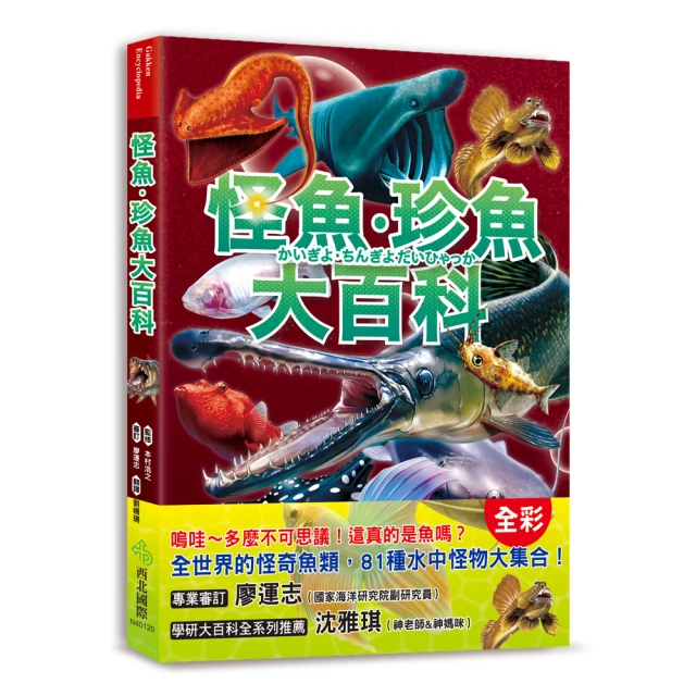 世界最美的鳥類羽毛圖鑑：從圖樣、顏色到形狀一窺鳥的絕美姿態折