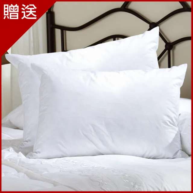 【LooCa】送枕x2-抗菌天絲12cm記憶床墊(加大6尺)