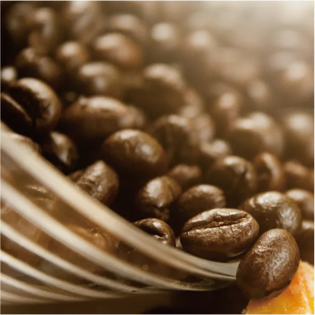 【Krone 皇雀咖啡】甜蜜程式咖啡豆半磅 / 227g(嚴選綜合咖啡豆)