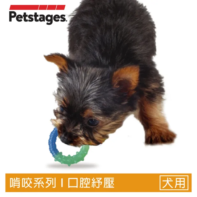 【Petstages】歐卡健齒環(潔牙 耐咬 防水 狗玩具)