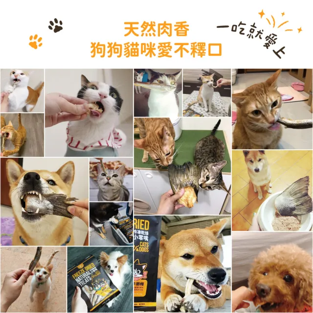 【汪喵星球】犬貓冷凍乾燥原肉零食－長盈虱目魚50g(犬貓零食)