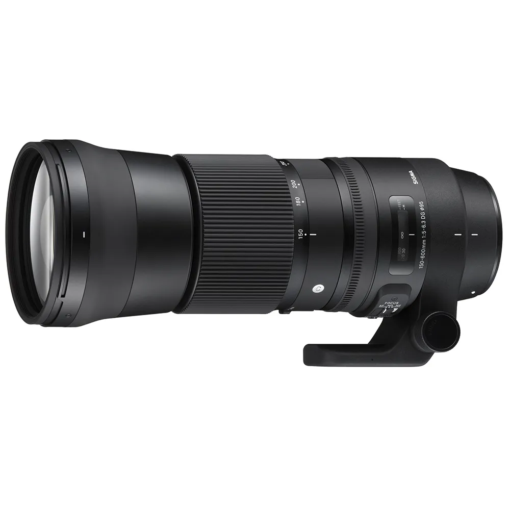 【Sigma】150-600mm F5-6.3 DG OS HSM Contemporary(公司貨 超望遠變焦鏡頭 飛羽攝影)