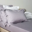 【HOLA】艾維卡埃及棉刺繡歐式枕套2入晨灰