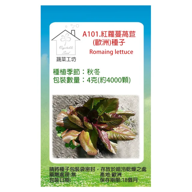 【蔬菜工坊】A101.紅蘿蔓萵苣/歐洲/種子4克(約4000顆)
