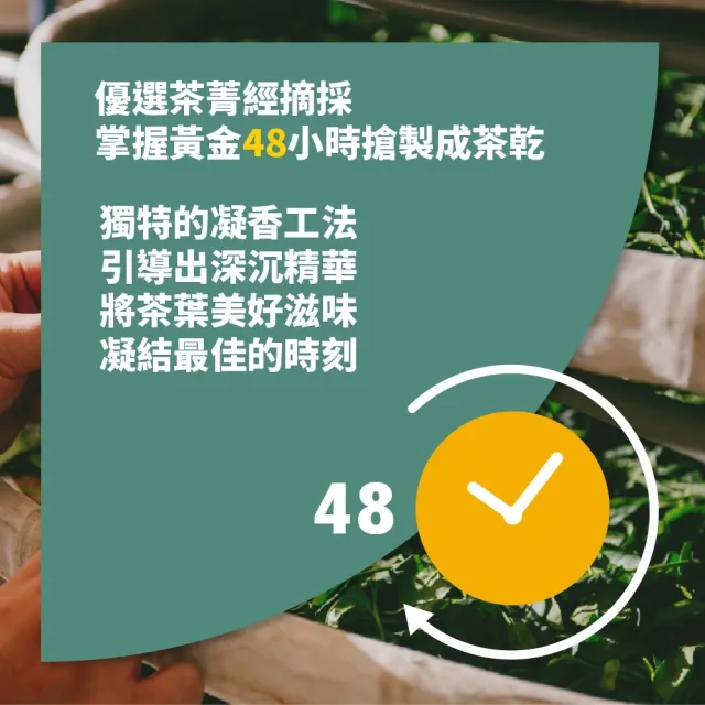 【名池茶業】嫩採春芬台灣高山茶葉100gx5包